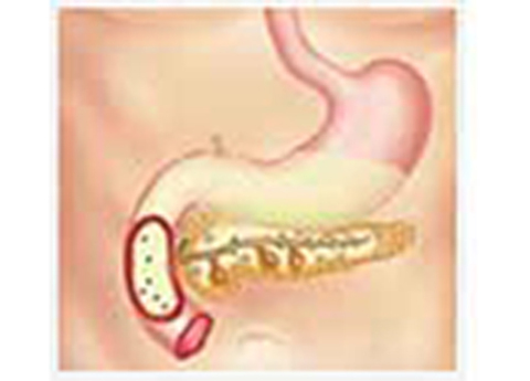 Cover image for book Pancreatic Function Test Part 1