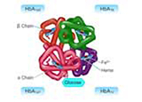 Cover image for book To Study about Glycated Haemoglobin and its Estimation