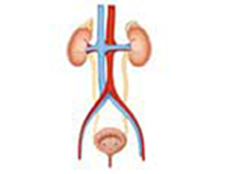 Cover image for book Urine Analysis