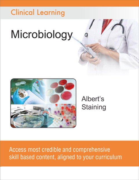 Cover image for book Albert Staining