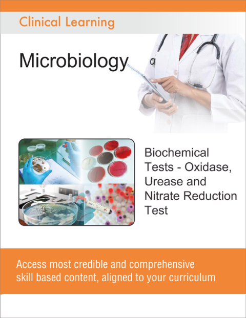 Biochemical Tests - Oxidase, Urease and Nitrate Reduction Test 