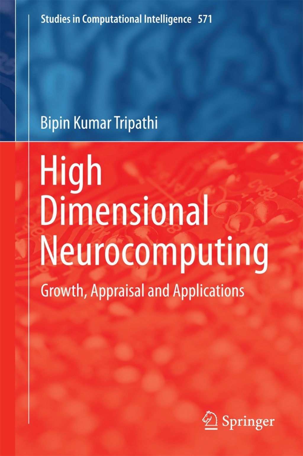High Dimensional Neurocomputing (eBook)