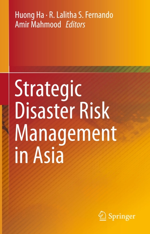 Cover image for book Strategic Disaster Risk Management in Asia