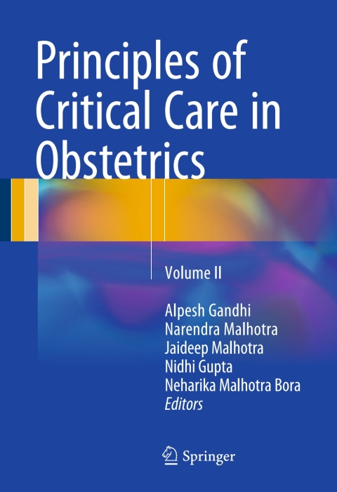 Cover image for book Principles of Critical Care in Obstetrics