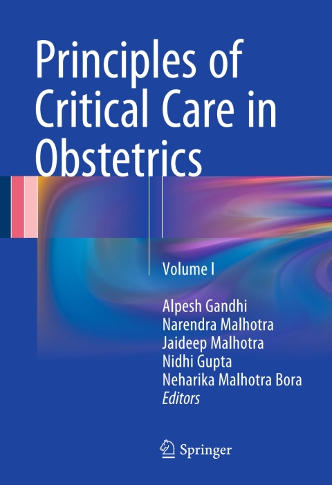 Cover image for book Principles of Critical Care in Obstetrics