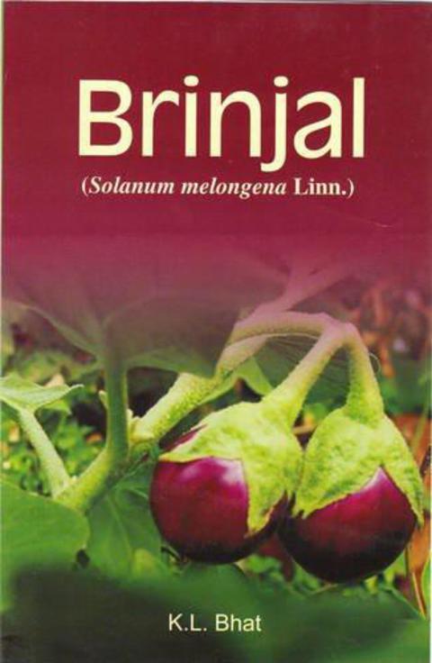Cover image for book Brinjal