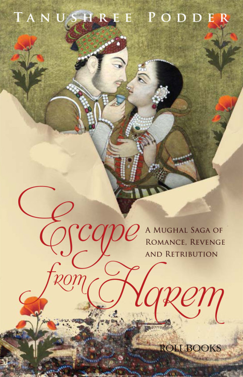 Cover image for book Escape from Harem