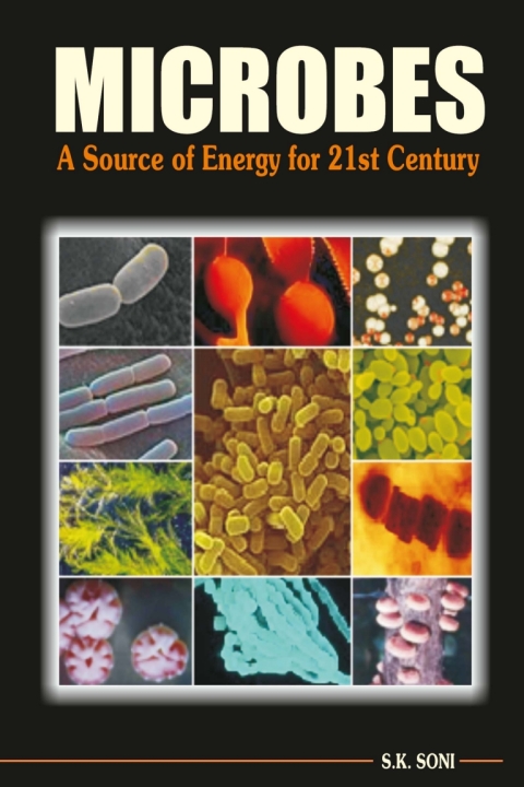 Cover image for book Microbes: A Source of Energy for 21st Century