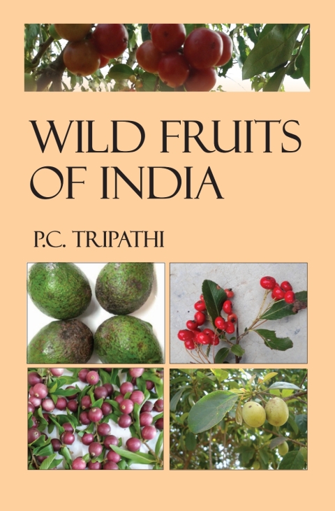 Cover image for book Wild Fruits of India