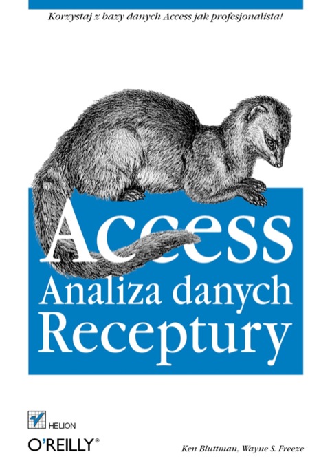 Cover image for book Access. Analiza danych. Receptury