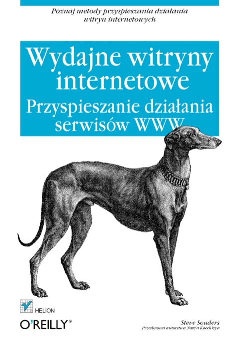 Cover image for book Wydajne witryny internetowe. Przyspieszanie dzia?ania serwisów WWW
