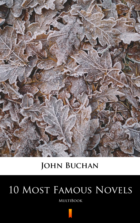 Cover image for book 10 Most Famous Novels
