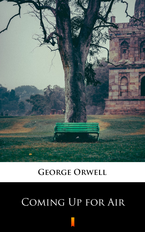 Cover image for book Coming Up for Air
