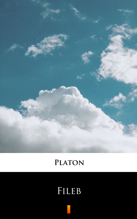 Cover image for book Fileb