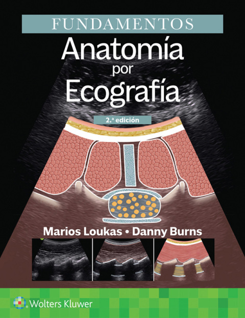 Cover image for book Fundamentos. Anatomía por ecografía