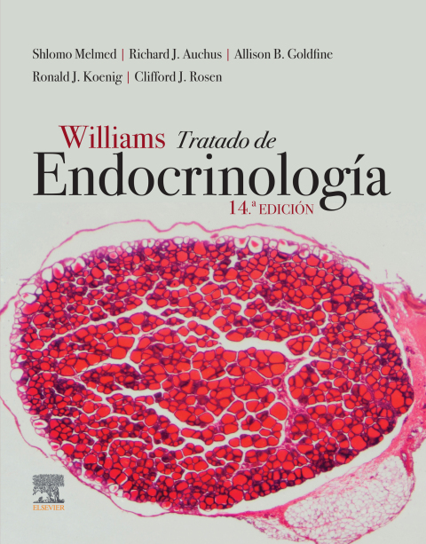 Cover image for book Williams. Tratado de endocrinología