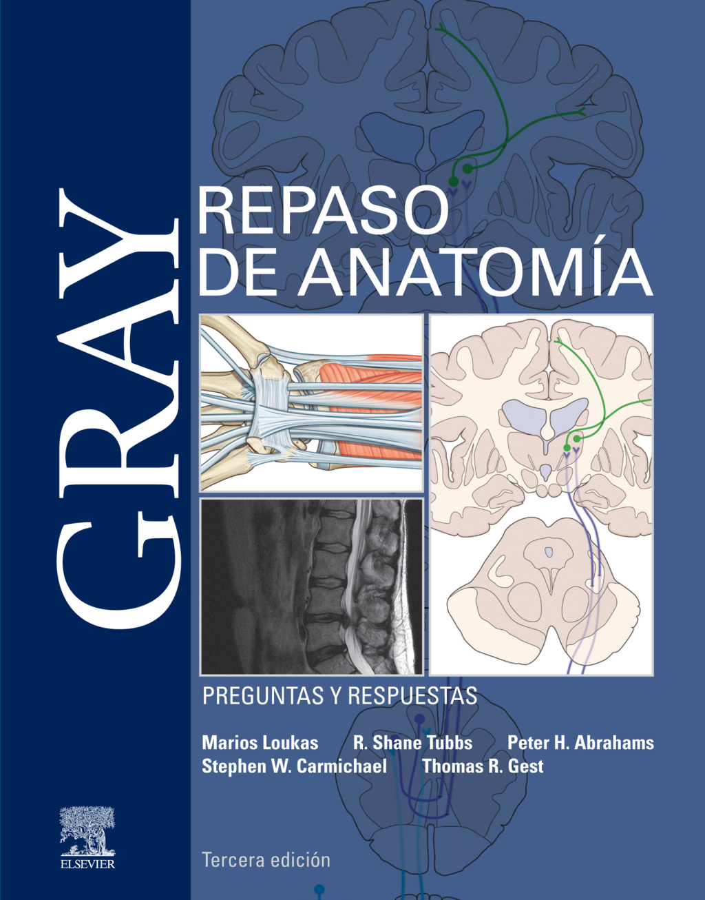 Isbn 9788491138099 Gray Repaso De Anatom A 3rd Edition Ebook