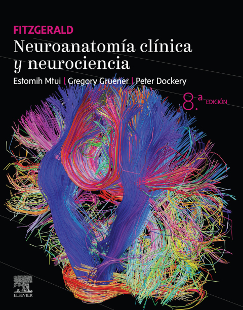 Cover image for book Fitzgerald. Neuroanatomía clínica y neurociencia