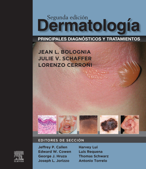 Cover image for book Dermatología: principales diagnósticos y tratamientos