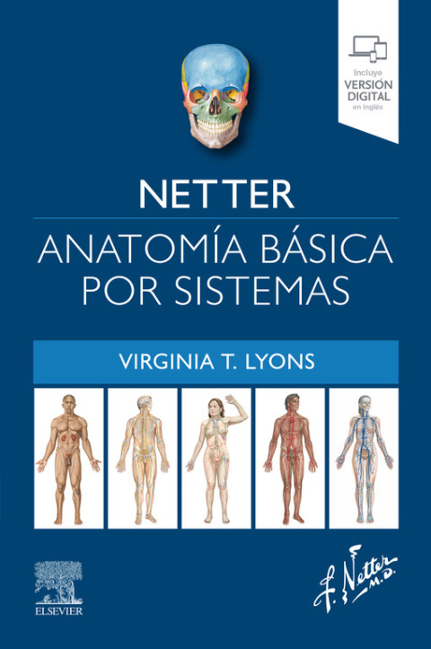Cover image for book Netter. Anatomía básica por sistemas