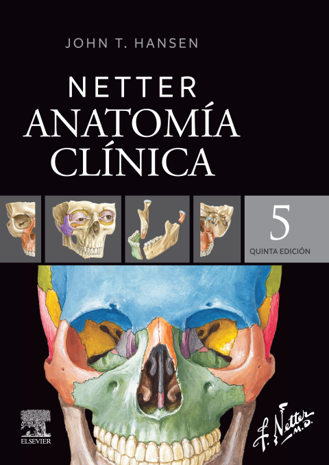 Cover image for book Netter. Anatomía clínica