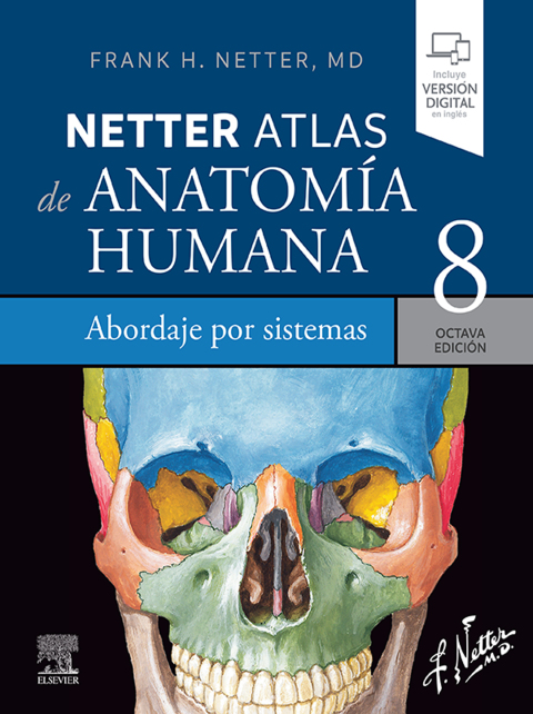 Cover image for book Netter. Atlas de anatomía humana. Abordaje por sistemas