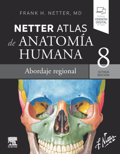 Cover image for book Netter. Atlas de anatomía humana. Abordaje regional