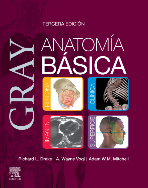 Cover image for book Gray. Anatomía básica