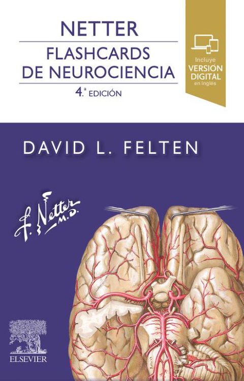 Cover image for book Netter. Flashcards de neurociencia