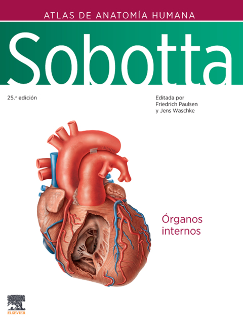 Cover image for book Sobotta. Atlas de anatomía humana. Vol 2