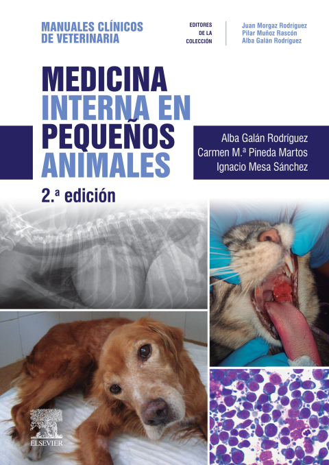 Cover image for book Medicina interna en pequeños animales