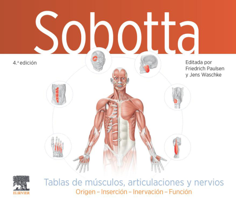 Cover image for book Sobotta. Tablas de músculos, articulaciones y nervios