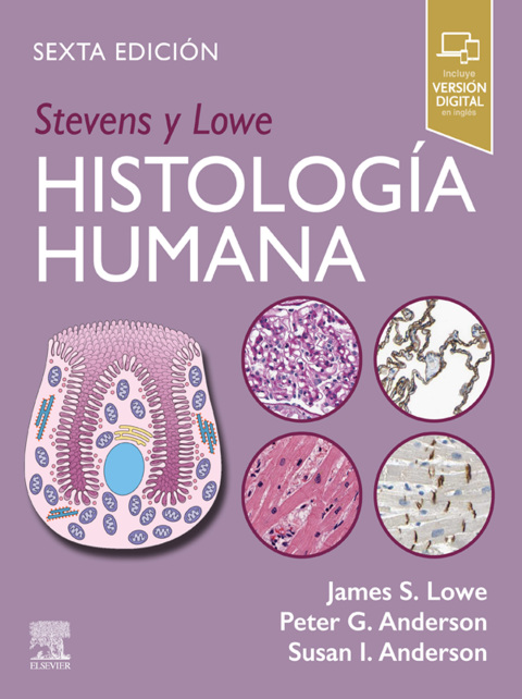 Stevens y Lowe. HistologÃ­a humana 