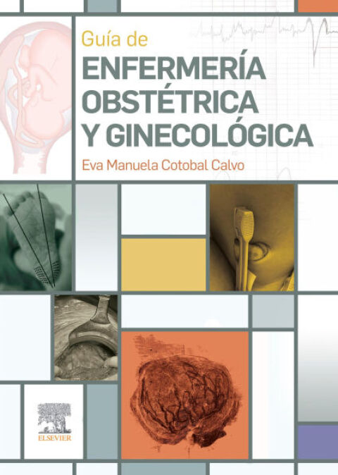 Cover image for book Guía de enfermería obstétrica y ginecológica