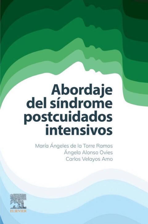 Cover image for book Abordaje del síndrome postcuidados intensivos