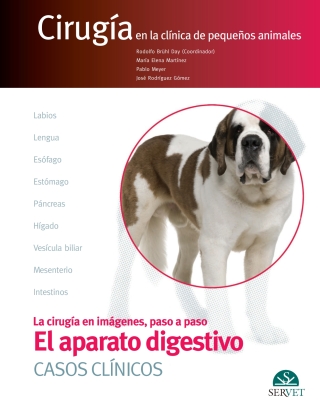El aparato digestivo. CASOS CLÍNICOS. Cirugía en la clínica de pequeños animales
