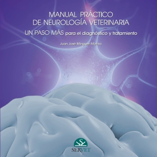 Manual práctico de neurología. Un paso más para el diagnóstico y tratamiento (Vol. 2)