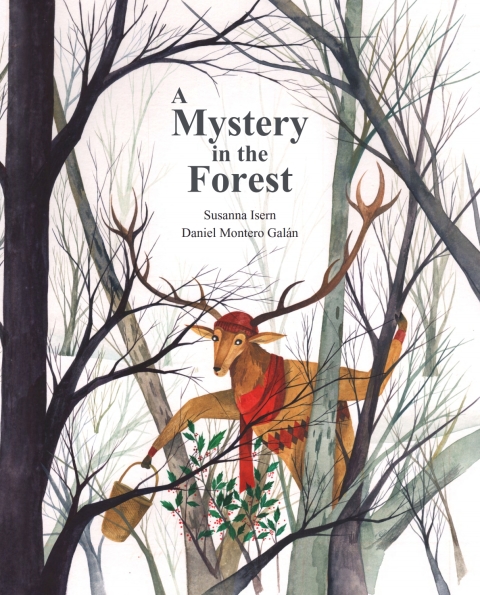 Cover image for book A Mystery in the Forest