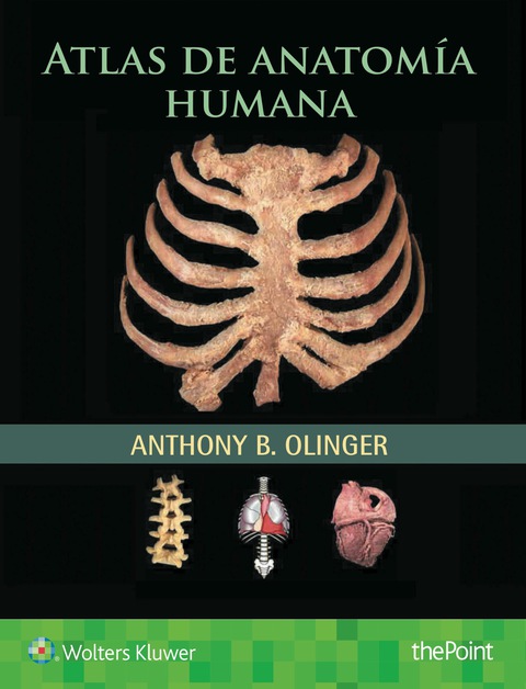 Atlas de anatomía humana