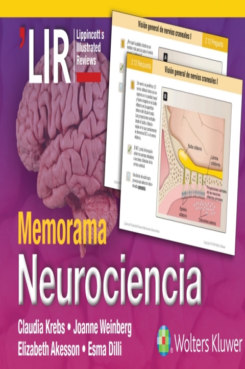 Memorama. Neurociencia