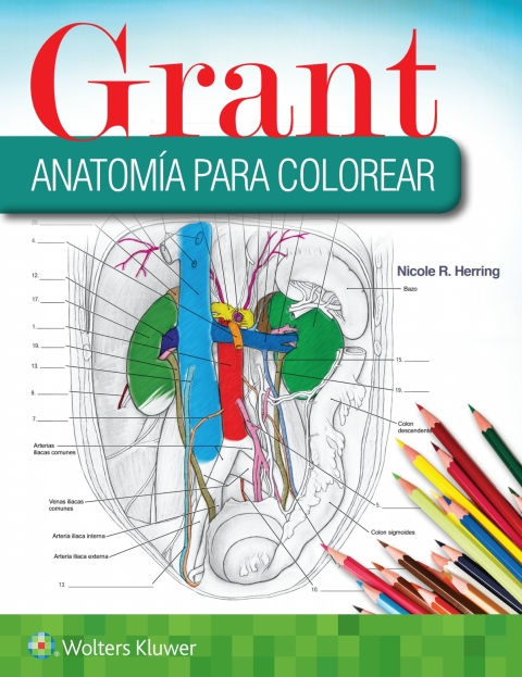 Grant. Anatomía para colorear