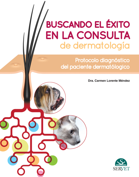 Buscando el Ã©xito en la consulta de dermatologÃ­a 