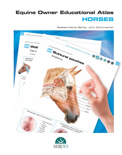 Equine owner educational atlas.\nHorses 