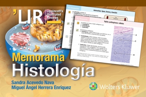 Memorama. Histología