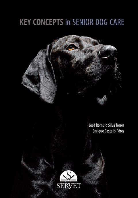 Key concepts in senior dog care 