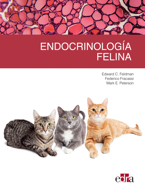 EndocrinologÃ­a felina 