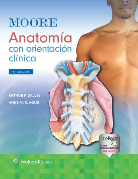 Moore. Anatomía con orientación clínica