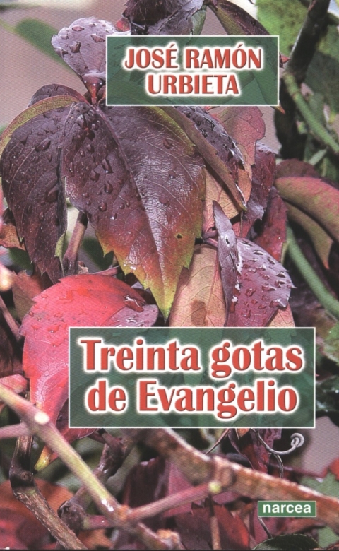 Cover image for book Treinta gotas de Evangelio