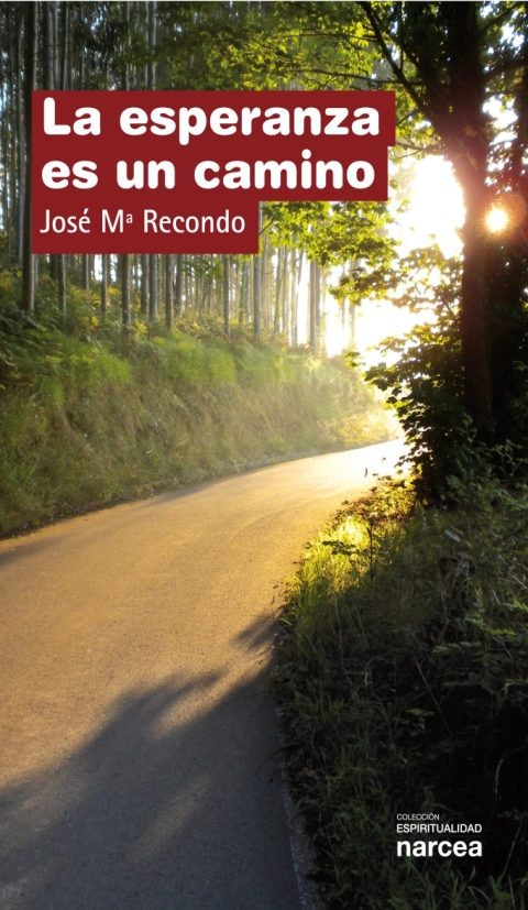 Cover image for book La esperanza es un camino