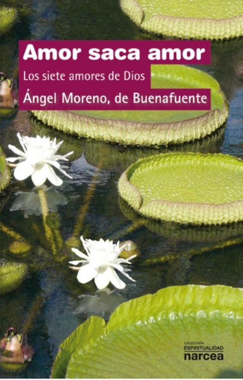 Cover image for book Amor saca amor